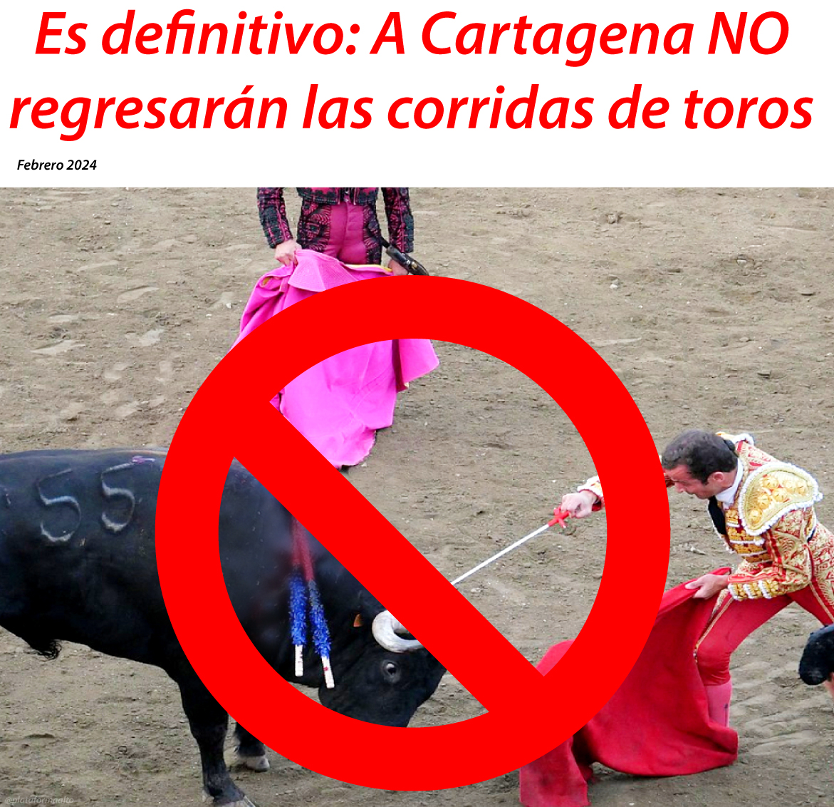 PlataformaALTO's tweet photo. Muy buenas noticias!! 👏❤️. Por decisión del alcalde de Cartagena, @dumek_turbay, la Plaza de Toros de la ciudad será restaurada e intervenida para que nunca más se puedan celebrar corridas de toros ni ninguna actividad de maltrato animal.
Ahora será un espacio dedicado a la cultura y el deporte.
La decisión del alcalde cuenta con el respaldo de la inmensa mayoría de cartageneros, que no quieren el regreso de la barbarie a la ciudad y que, en cambio, sí necesitan un espacio para eventos diversos.
A su vez, la Corte Constitucional ha reiterado que mientras el Congreso toma una decisión, estas prácticas sólo se pueden realizar en lugares donde exista una "tradición regular, periódica e ininterrumpida". Cartagena incumple todos estos requisitos. #FelizDomingo 🐂