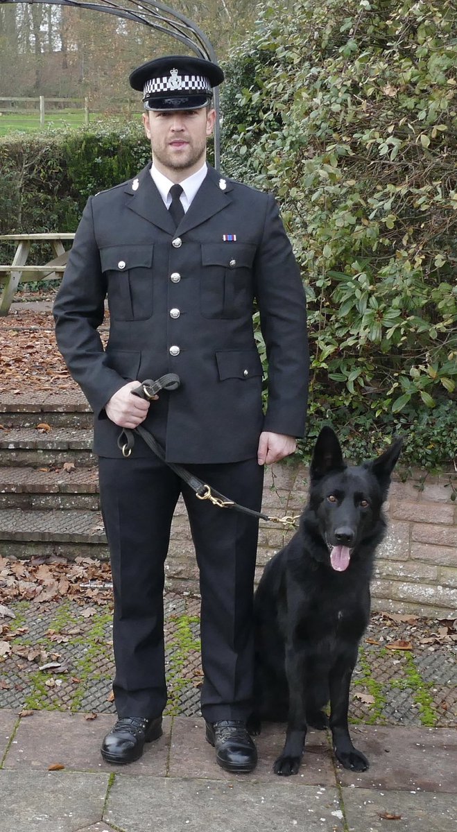 Ben and PD Enzo in their first Regional Police dog trials hosted by Avon and Somerset scored an impressive qualifying score of 761 and also won the Tracking trophy which is the trophy all handlers want to win. It is possible that they also may qualify for the National trials.