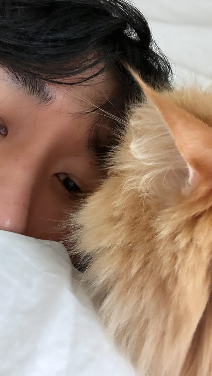 [IG Story✨] 250224 : Code Kunst เพิ่มรูปภาพของชิรุลงบนสตอรี่ค่ะ

 #코드쿤스트 
#CodeKunst 
#AOMG