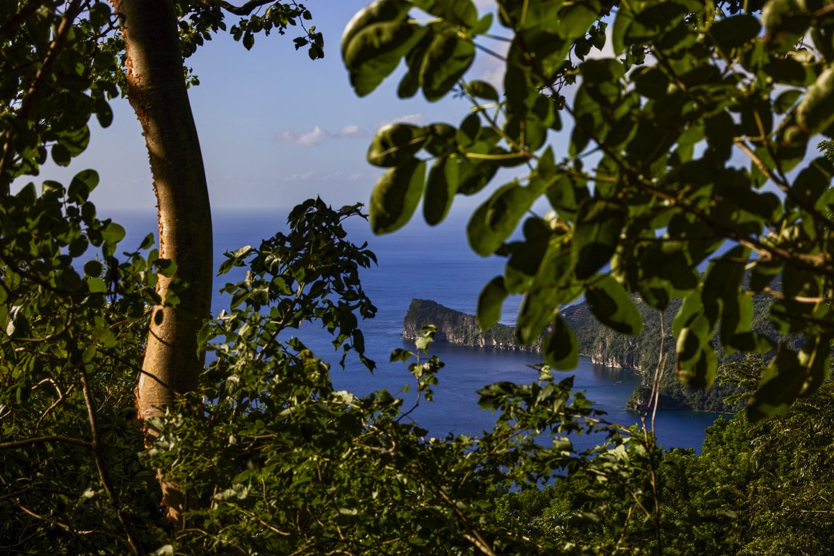 LADERA RESORT tweet media