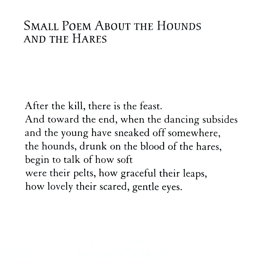 How lovely their scared, gentle eyes. —Lisel Mueller, 'Small Poem About The Hounds And The Hares'