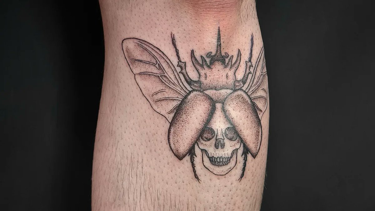 Five Horned Rhino Beetle, under the kneecap for James!