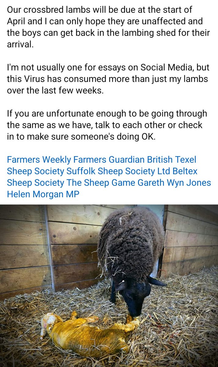 AgriiBen tweet media