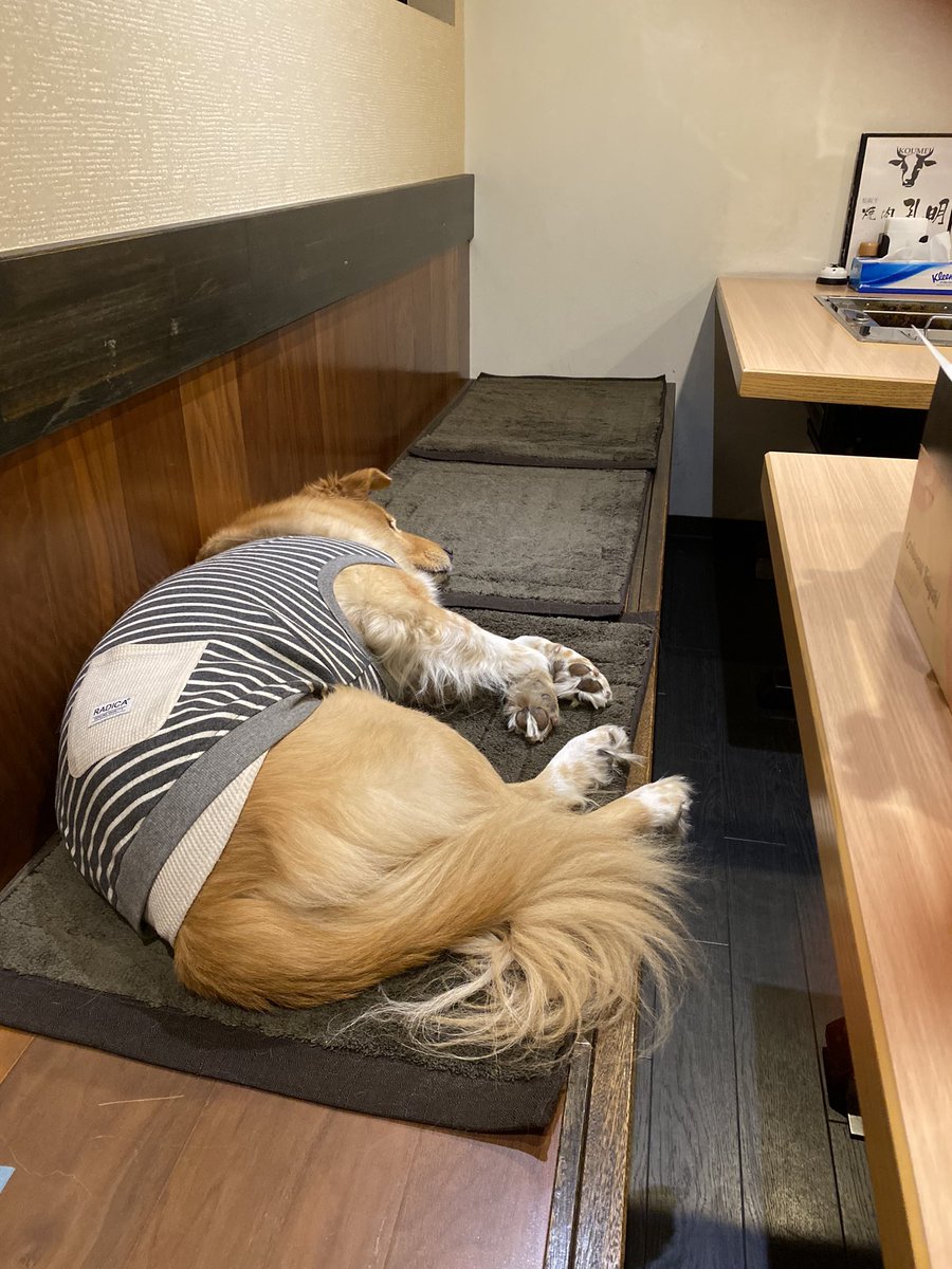 今週もお疲れ様🐾