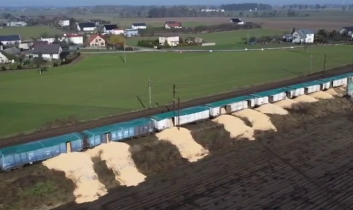 Не кажіть мені що це просто маргінали.  Такі масштаби вже що  або польська влада покриває ці злочини, або вони відбуваються з їх мовчазної згоди.