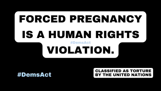 -

Maga republican conservatives are torturers.

Forced pregnancy is a human rights violation;
classified as torture by the United Nations.

#SpreadTheTruth

-