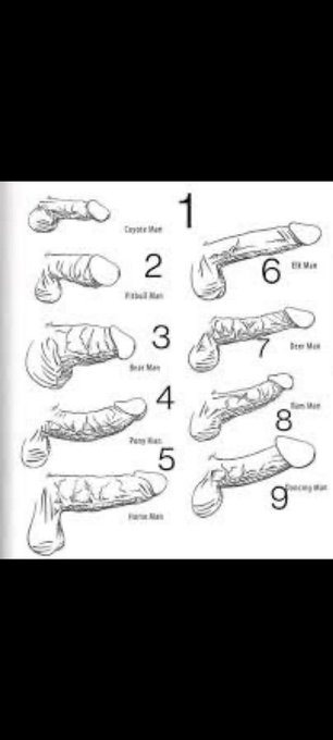 I can't find mine in this lovely selection.. what one are you and no lying https://t.co/Z3NSovy47Z