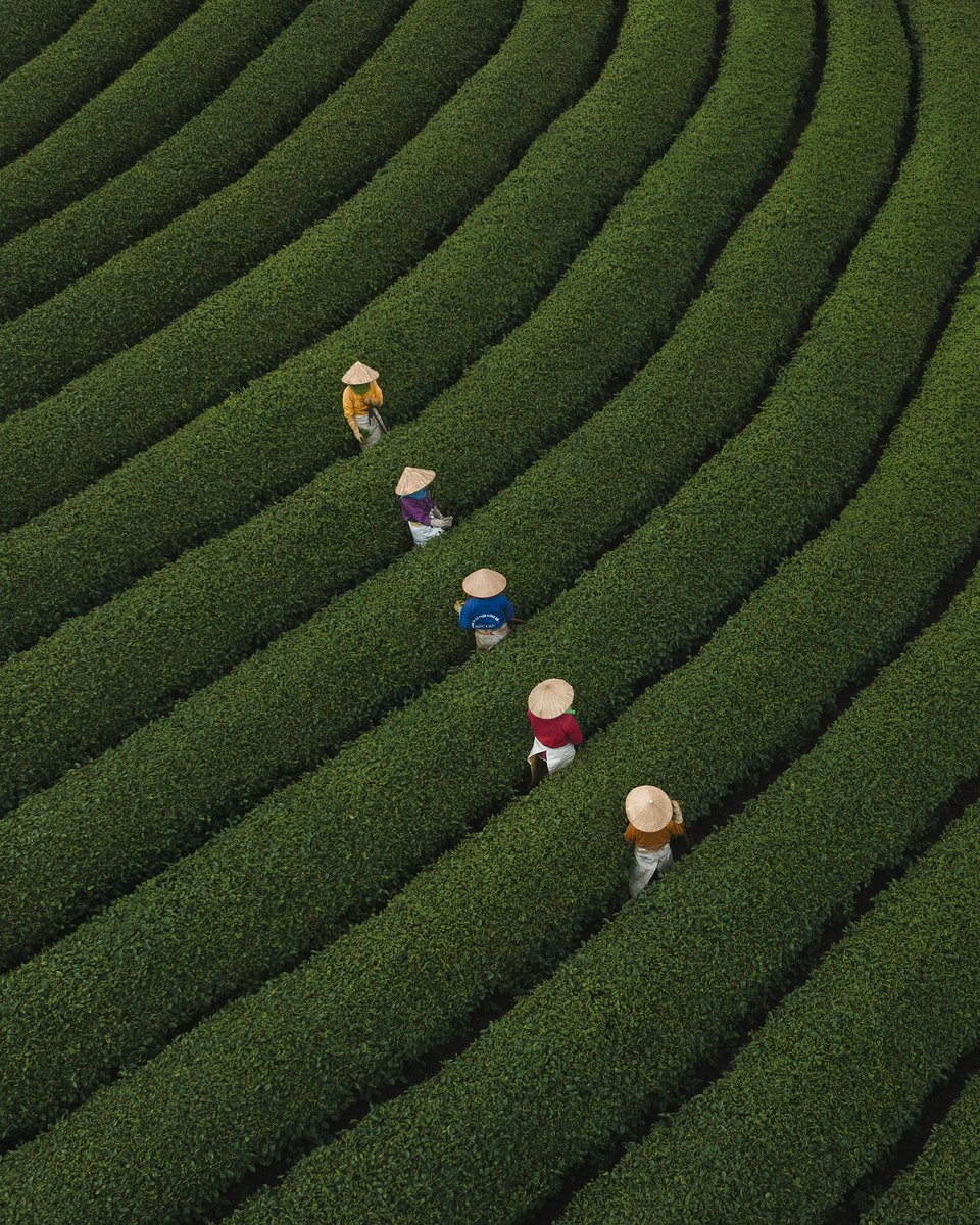 Jord Hammond tweet media