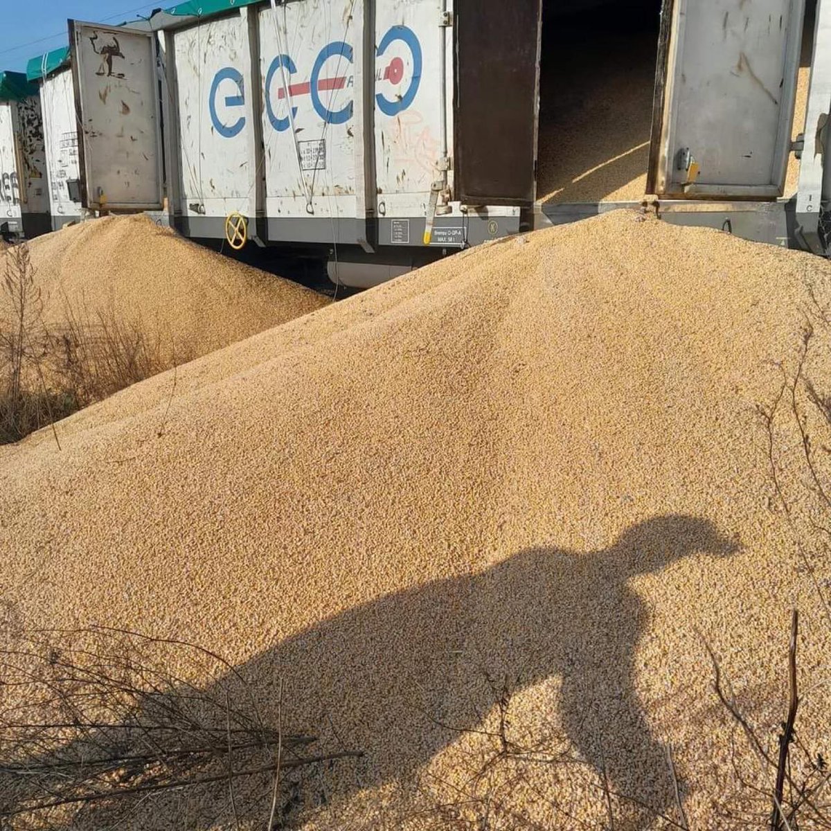 ⚡ 160 tons of Ukrainian grain were destroyed at a Polish railway station.

Deputy Prime Minister Oleksandr Kubrakov posted on X along with photos of mounds of grain spilled out from train wagons.

"These pictures show 160 tons of destroyed Ukrainian grain. The grain was in