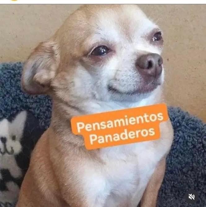 Dan lluvia todo el día. automáticamente yo: