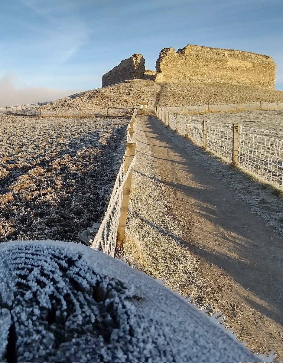 Douglas Campbell tweet media