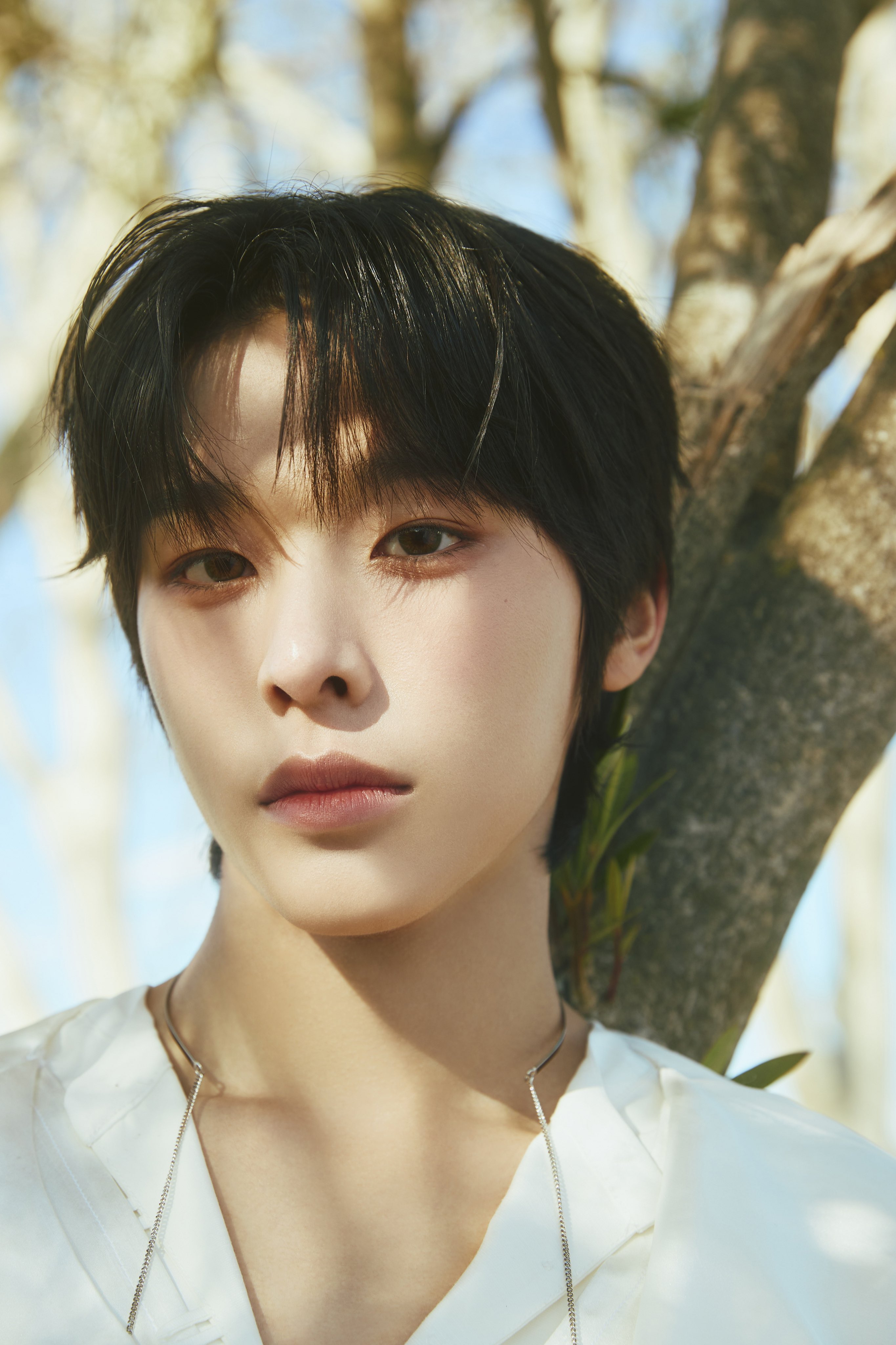 NCT WISH on X: 