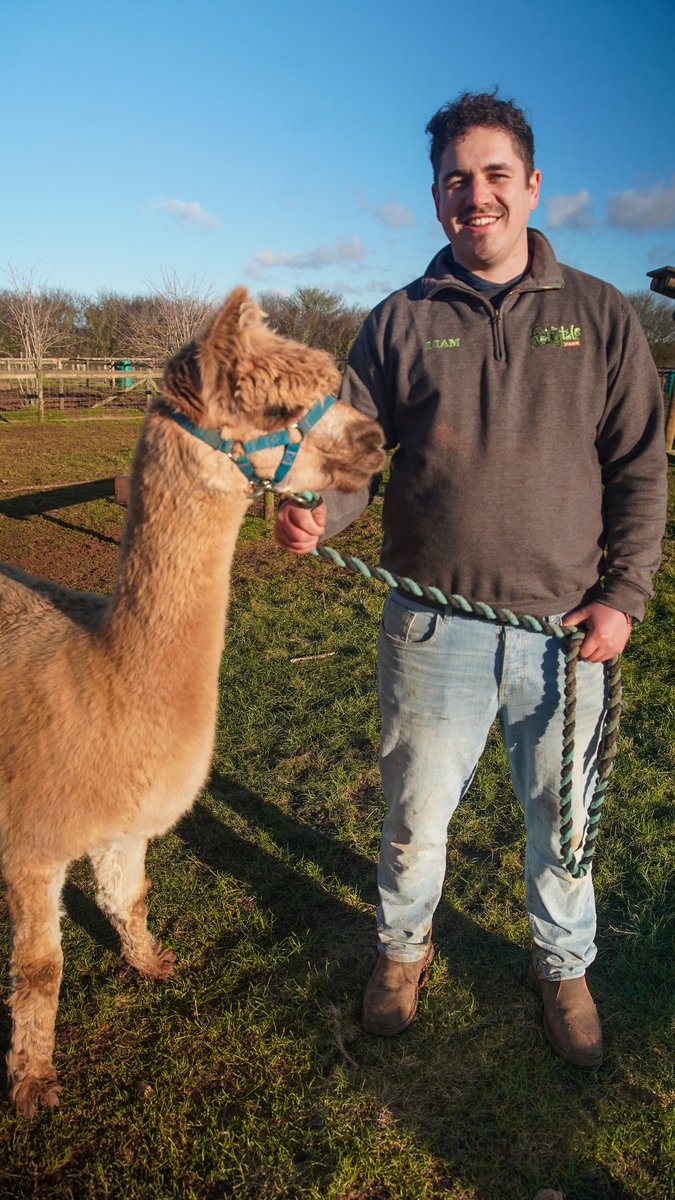 Fairytale Farm (@fairytale_farm) on Twitter photo Vote now to find <a href="/VisitEnglandBiz/">VisitEnglandBiz</a> Tourism Superstar for 2024.
Liam White, animal manager <a href="/Fairytale_Farm/">Fairytale Farm</a>, has has reached the finals so please vote for him. Voting closes on Sun 24 March.
Click here to vote: visitenglandawards.secure-platform.com/tourismsuperst…
#tourismsuperstar2024 #visitengland Vote now to find <a href="/VisitEnglandBiz/">VisitEnglandBiz</a> Tourism Superstar for 2024.
Liam White, animal manager <a href="/Fairytale_Farm/">Fairytale Farm</a>, has has reached the finals so please vote for him. Voting closes on Sun 24 March.
Click here to vote: visitenglandawards.secure-platform.com/tourismsuperst…
#tourismsuperstar2024 #visitengland