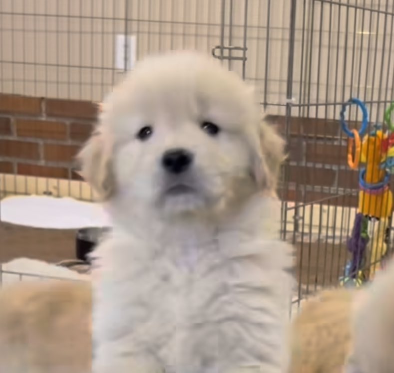 มะกี้ไปหอมแจ้มใครมา