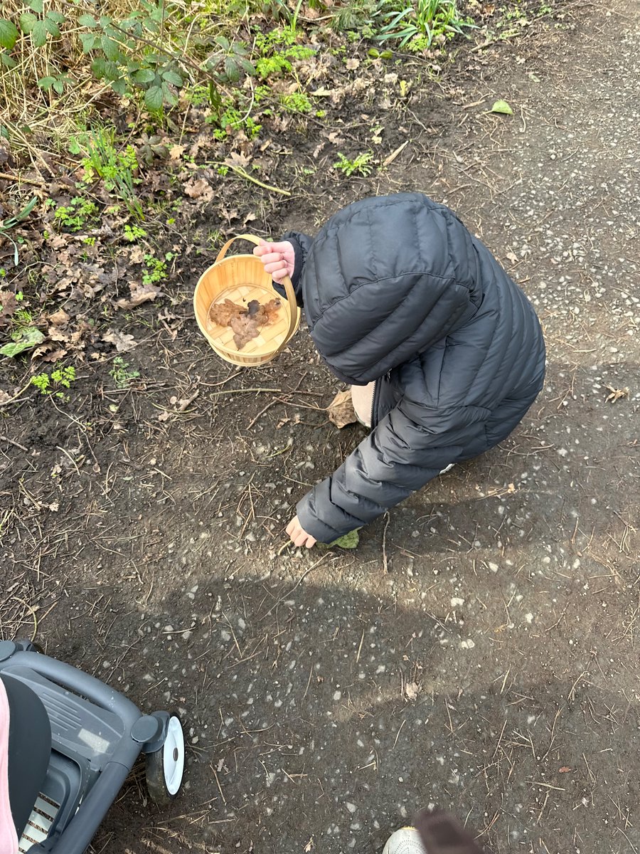 ACMH93's tweet photo. @Hadrian_Park Noah has been for a walk in the woods to collect leaves #hpps1Apositiveparrots https://t.co/vsFf6Se8bq