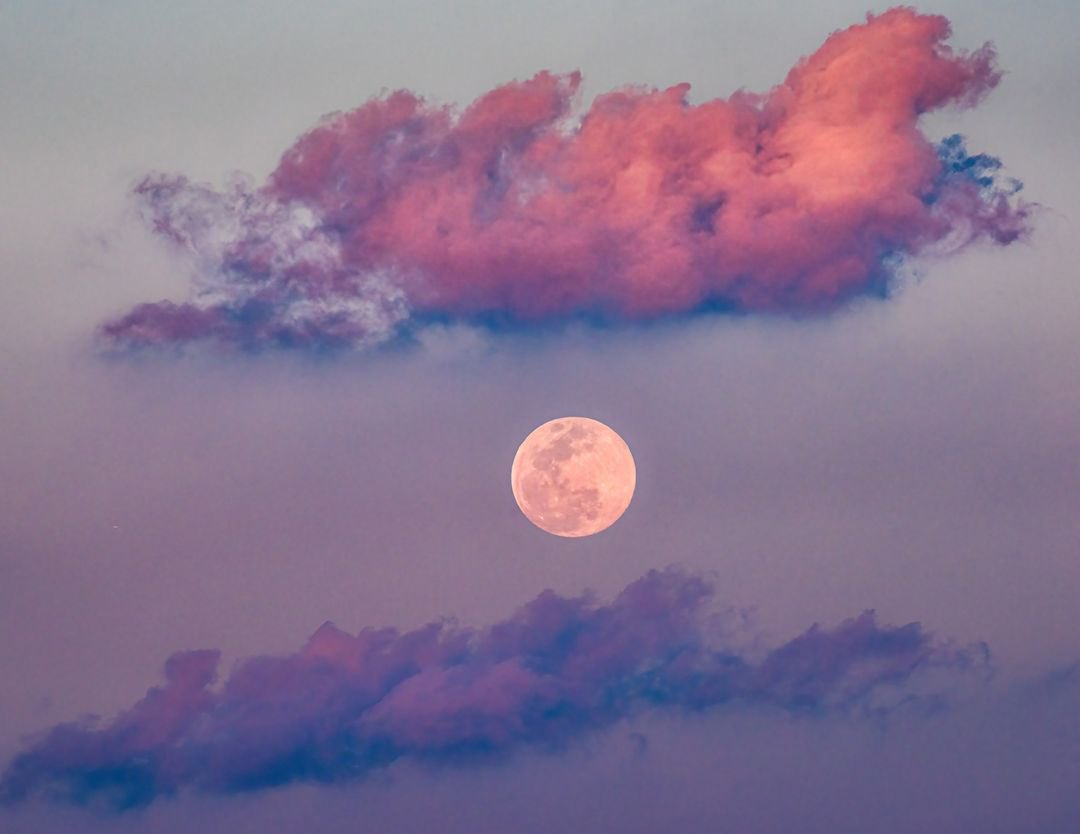 The full “Snow Moon” graced the night skies of Florida this weekend! 🌕❄️ Photo sent in by: Philip Metlin #space #florida #flwx #stormhour #wx