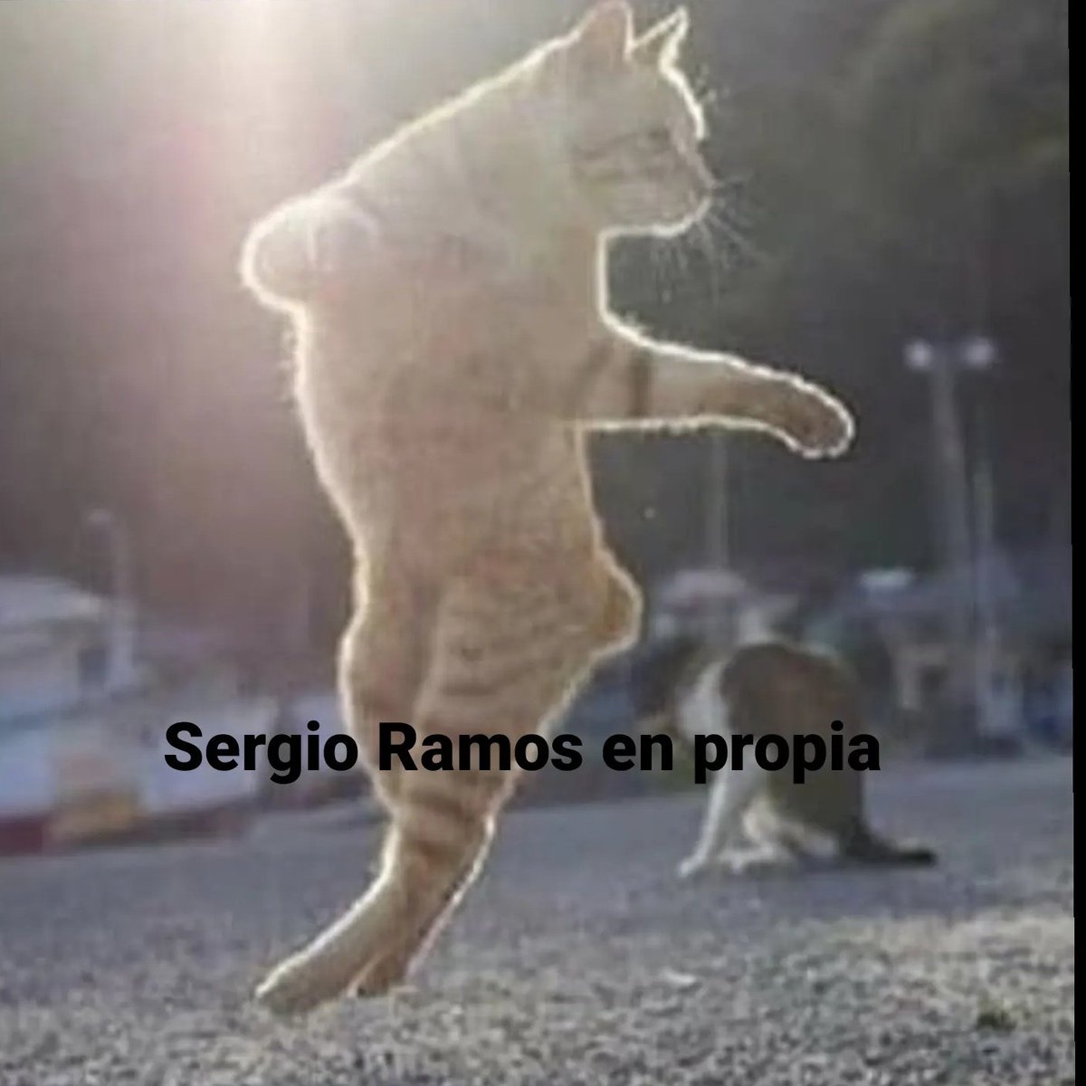 AlberrtoRM2's tweet photo. *minuto 93 en el Real Madrid - Sevilla con 0-0 en el marcador*

Los héroes de la Décima: https://t.co/LmdLHXuq3q