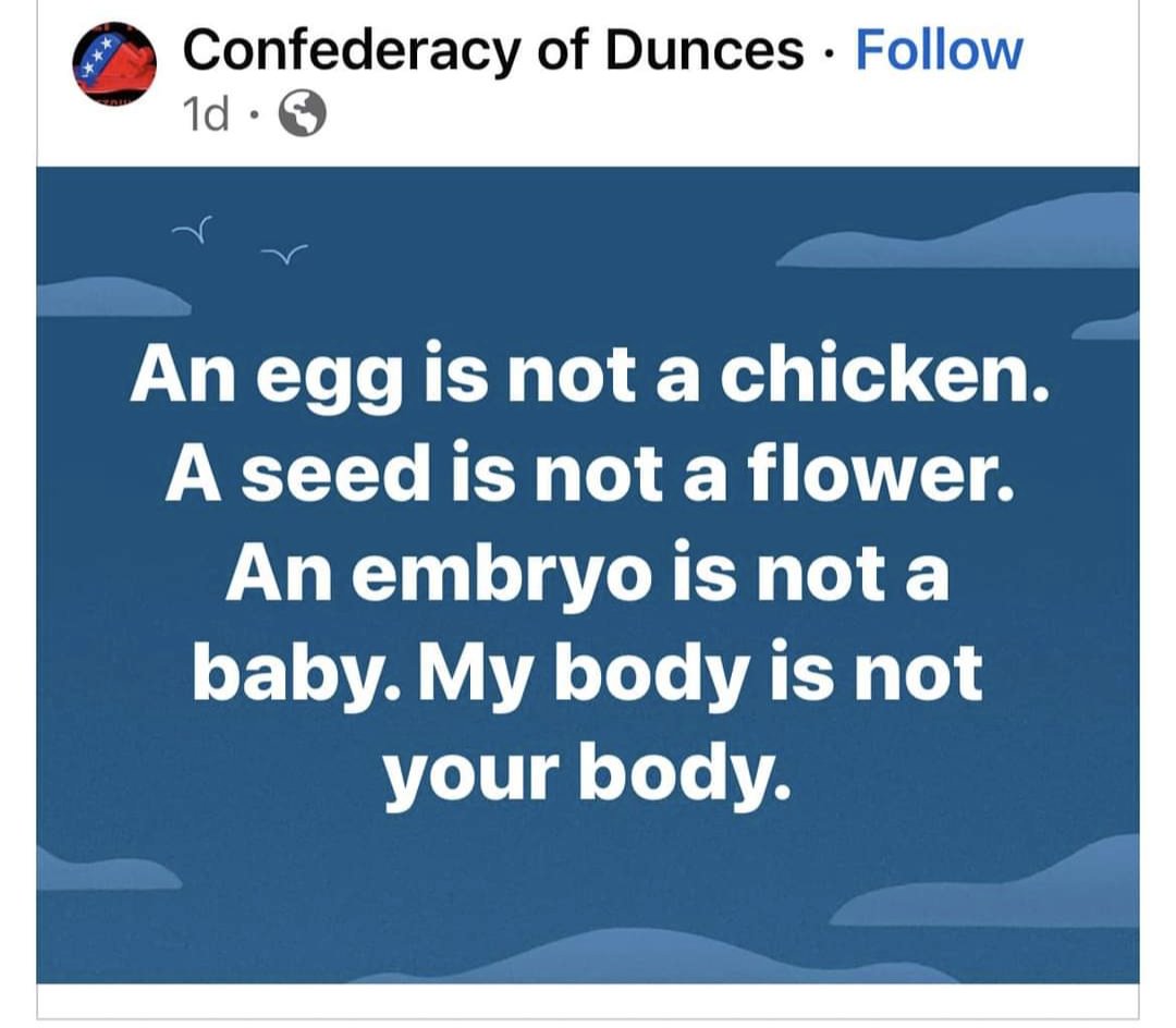 ProChoiceTakes's tweet image. A fertilized egg contains a tiny chicken.
A seed contains a flower embryo, awaiting germination.
A human embryo is a tiny human being.

The last one is true. 1/4