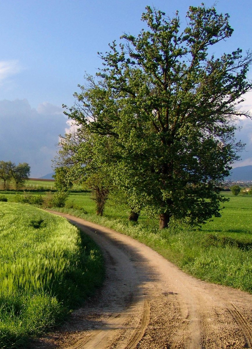 Countryside path in Umbria, central Italy  🇮🇹
