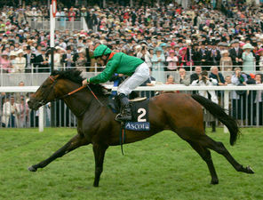 HORSERACING1002's tweet photo. AZAMOUR🇮🇪2001
(NIGHT SHIFT - ASMARA BY LEAR FAN)#Azamour
B/O Aga Khan🇮🇪Mar 8, 2001
T/ John Oxx
12-6-1-3---$2,665,162
2004 Hwt at 3 9.5-11🇮🇪
2005 champion 🏆 older horse in Europe 🇪🇺, Hwt older horse 11-14f 🇮🇪🇬🇧,Hwt older horse 9.5-11f 🇮🇪🇬🇧.
Beresford S G2, St James Palace S G1 https://t.co/XBztJE2rWb