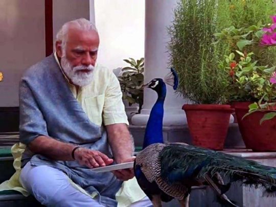 Abhishek Baxi tweet media