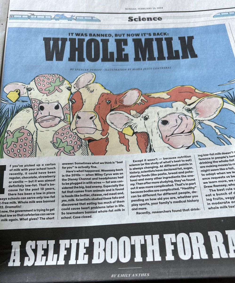 My story on whole milk 🥛🐄 feat. @DrewRamseyMD is in today’s issue of @nytimes — thank you to loyal NYT for Kids reader @GabRoseG for sending in this photo: