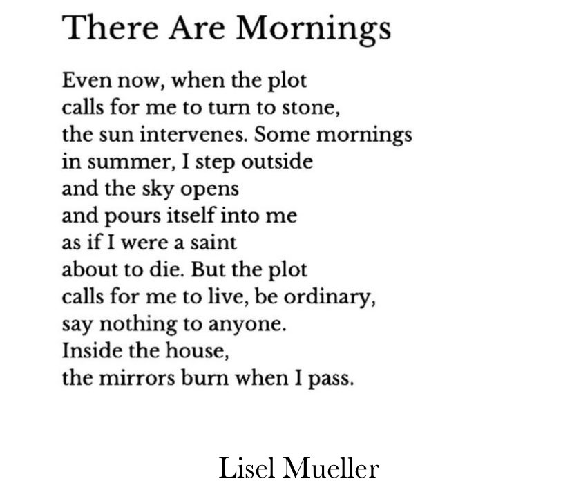 WriterACMcHugh's tweet photo. Lisel Mueller morning https://t.co/ViMVtGvoqQ