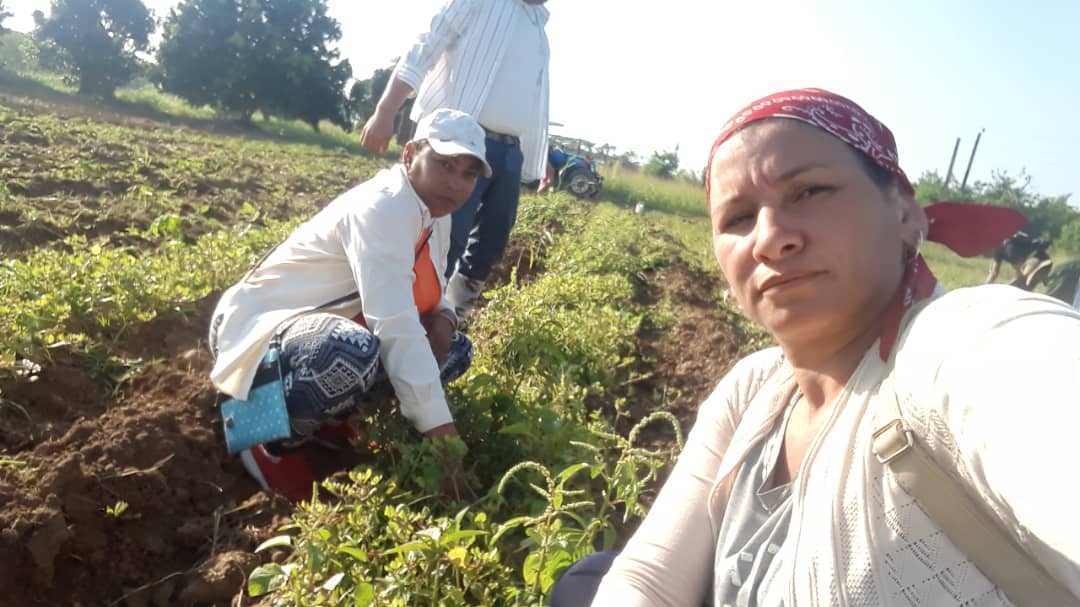 Las #MujeresEnRevolución de @FMC_Granma en trabajo voluntario como parte de las actividades en saludo al #XICongresoFMC @FMC_Cuba @YudelkisOrtizB