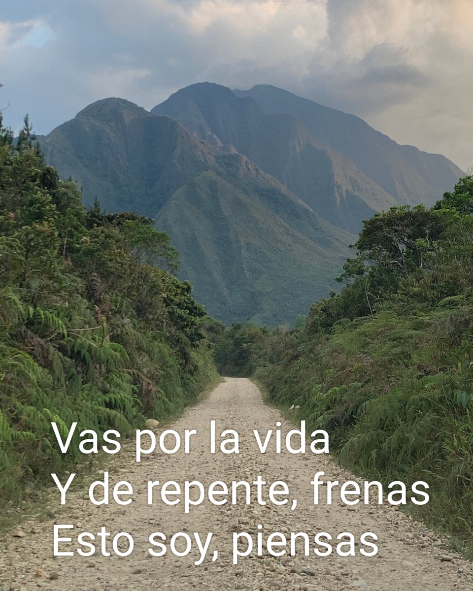 EcoSentir's tweet photo. Vas por la vida
Y de repente, frenas
Esto soy, piensas

#haikusentir https://t.co/EPy2ganx4Q