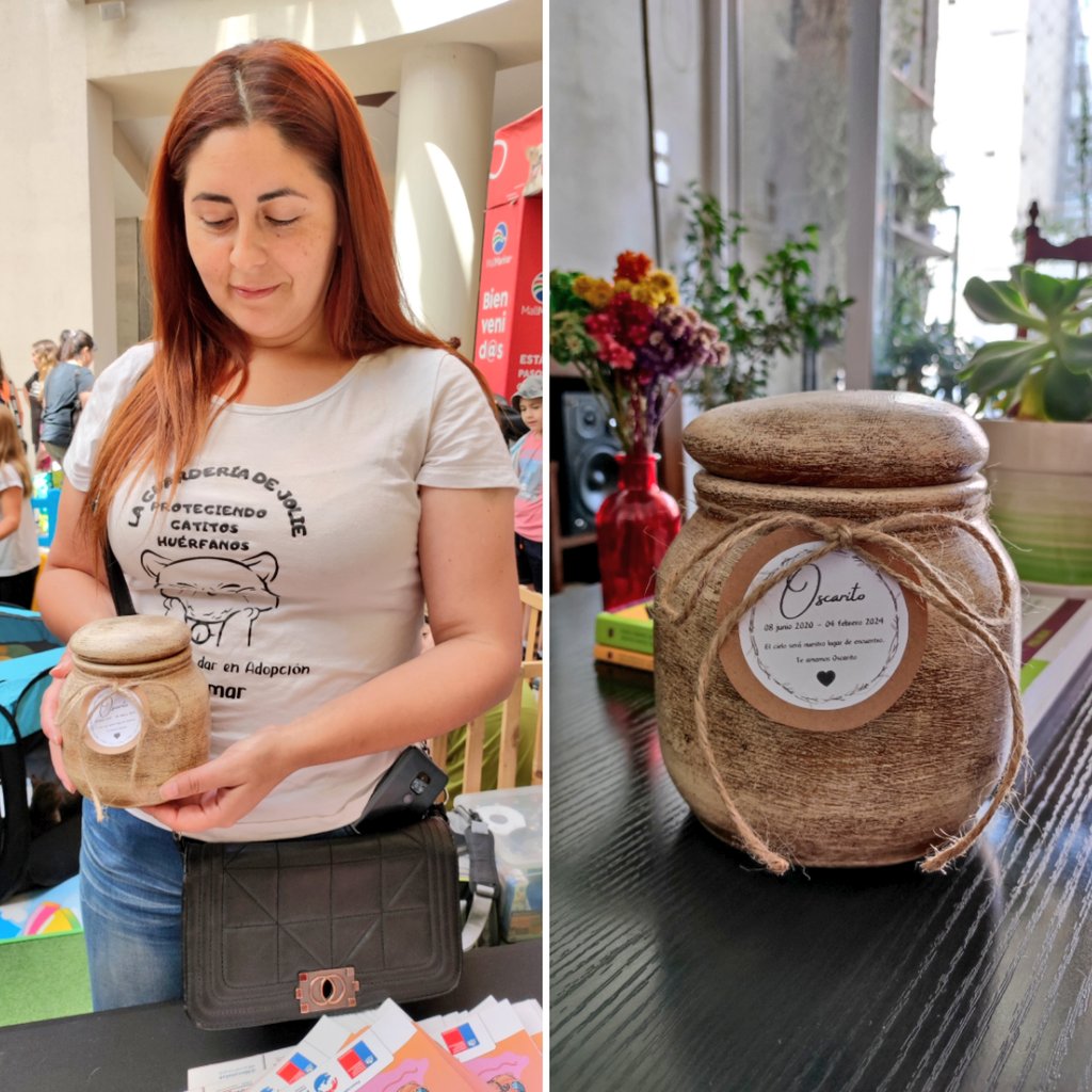 AnimalParaíso tweet media