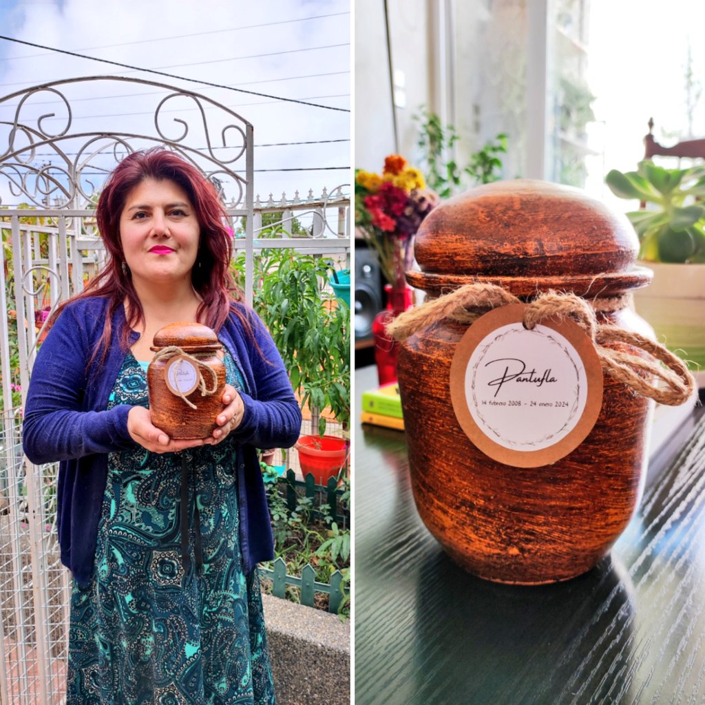 AnimalParaíso tweet media