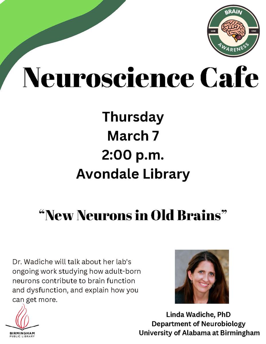 📆Mark your calendar for an upcoming talk on "New Neurons in Old Brains" by Dr. Linda Wadiche <a href="/LindaWadiche/">Linda Overstreet-Wadiche</a> from <a href="/wadiche_labs/">wadichelabs</a> <a href="/UNeurobiology/">UABNeurobiology</a> <a href="/UABNews/">UAB</a> for Neuroscience Cafe outreach program
⏲️Thurs, Mar 7th at 2:00pm
📍Avondale Library
This event is open to the public! #NeuroBham