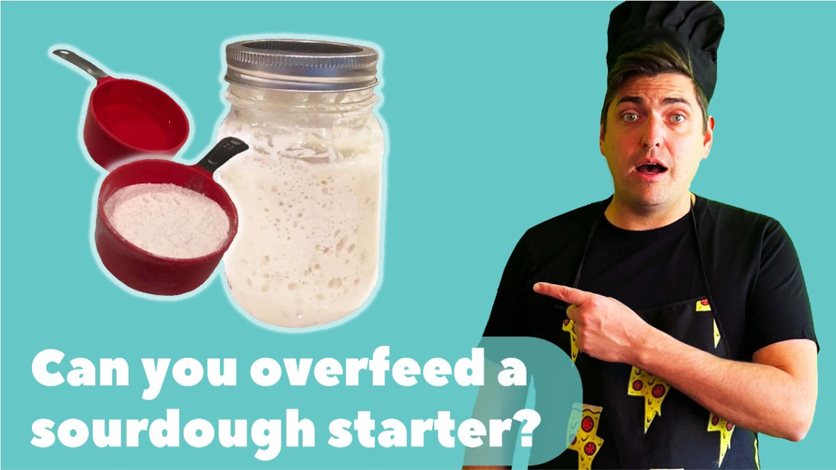 weirdwildpizza's tweet photo. Can you overfeed a sourdough starter?

https://t.co/f3QXz7M4zl
►SOURDOUGH Q&amp;A

#weirdwildpizza #weirdpizza #wildsourdough #weirdoughs #sourdough #sourdoughstarter https://t.co/FNzS27Afx8
