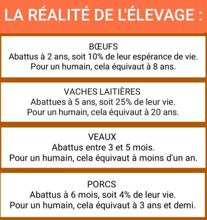 Adea Claude (@adeaclaude) on Twitter photo 