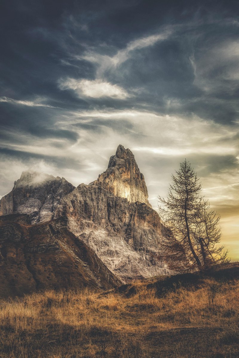 Carmen Saucedo . A tweet media