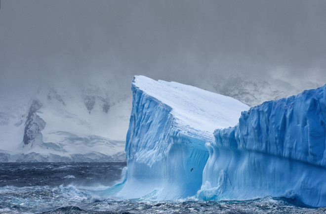 ECOWARRIORSS's tweet photo. Deep-Sea Currents are slowing
Antarctic ice shelf melt releasing huge amounts freshwater into sea
This influx causes polar water to become less salty less dense less apt to sink
This will collapse marine life,  strengthen cyclones, smothering heat waves
https://t.co/TU1CshT4pv https://t.co/Ht9zGPzc0o