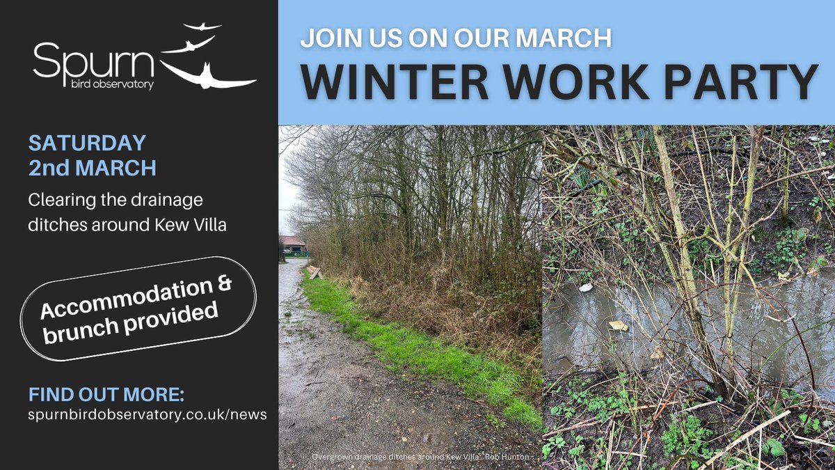 We are running another work party next weekend, 2nd &amp; 3rd March, starting at 9am.

We need your help clearing the drainage ditches around Kew Villa.

Accommodation is available if required and brunch will be provided.

Please get in touch to book your place.

BRING WELLIES! 👢👢