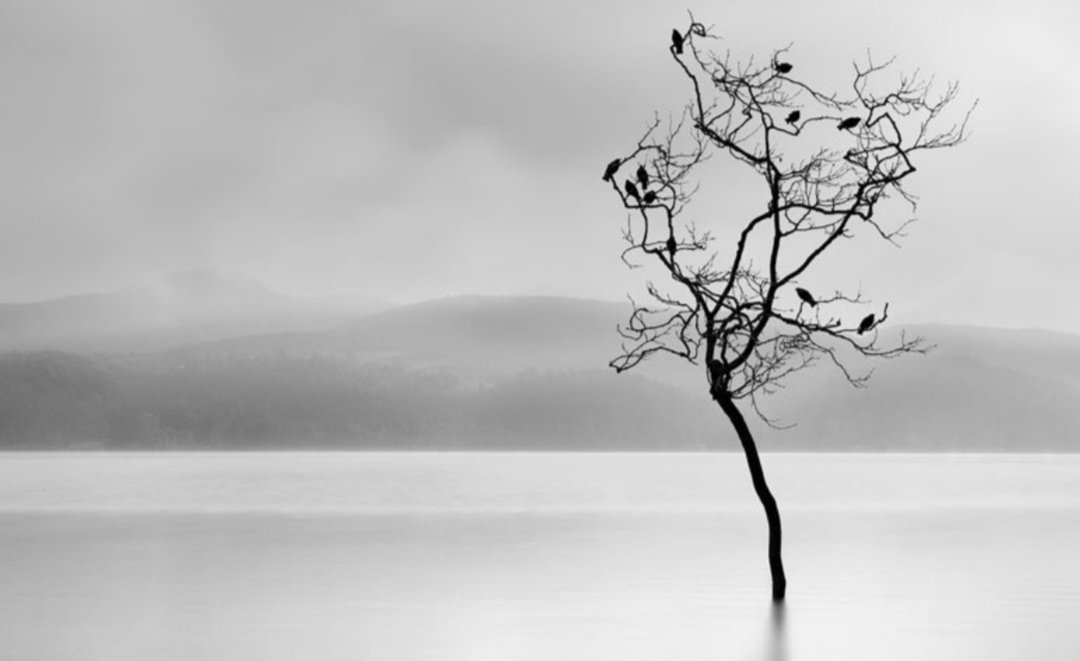 Moi je viendrai comme une chanson oubliée, 
Tissée de prières, d’amour et de fleurs, 
Quand dans ton cœur sans vie, affluera le chagrin 
Je t’appellerai vers d’autres rives...

V Terian