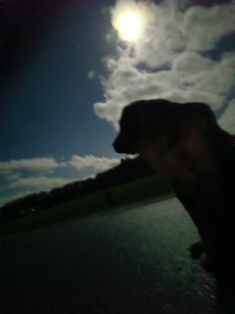 RonusG tweet picture