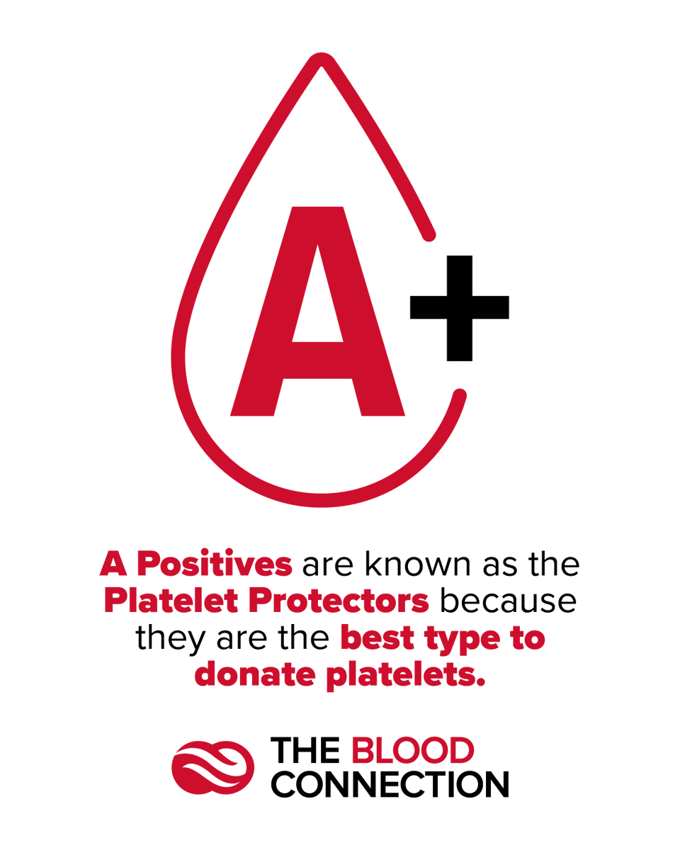 BloodConnection's tweet photo. #APositive donors! 🅰️ Your #bloodtype, which accounts for 31% of the population, holds immense value. The optimal way to make the most of your blood type is by donating #Platelets and #Plasma! Check your eligibility to donate Platelets OR Plasma by calling (864) 751-1168. 💪 https://t.co/u6bAvOPlD7