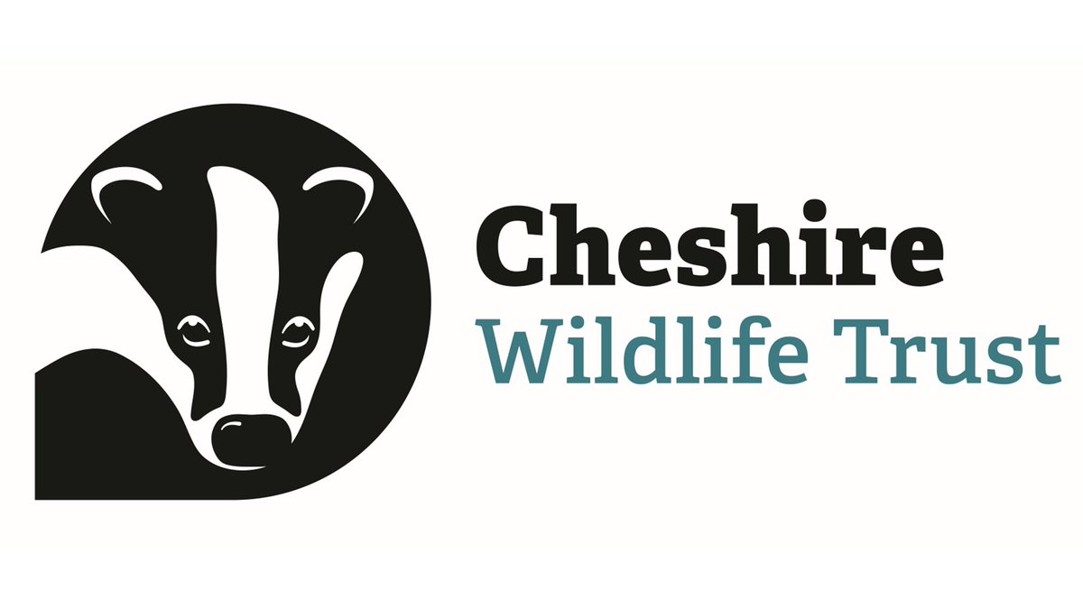 Nature Recovery Trainee with Cheshire Wildlife Trust @CheshireWT

Locations: Lower Nabbs Farm, Wildboarclough, Macclesfield and hybrid Bickley Hall Farm, Malpas/Home Based

See: ow.ly/jKGV50QBM9N

#CheshireJobs
#NatureJobs
#ConservationJobs