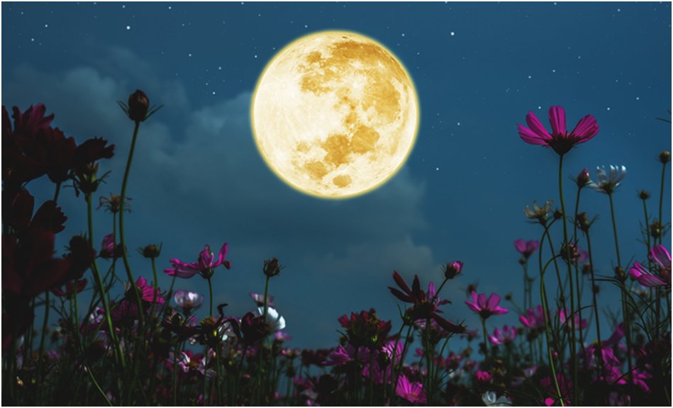 MaryvanBelzen's tweet photo. Volle Maan in Maagd 24 februari 2024 – Een kwestie van hoofd boven hart https://t.co/A0yG6ARG34 via @LinkedIn https://t.co/bkVNyGuZQu