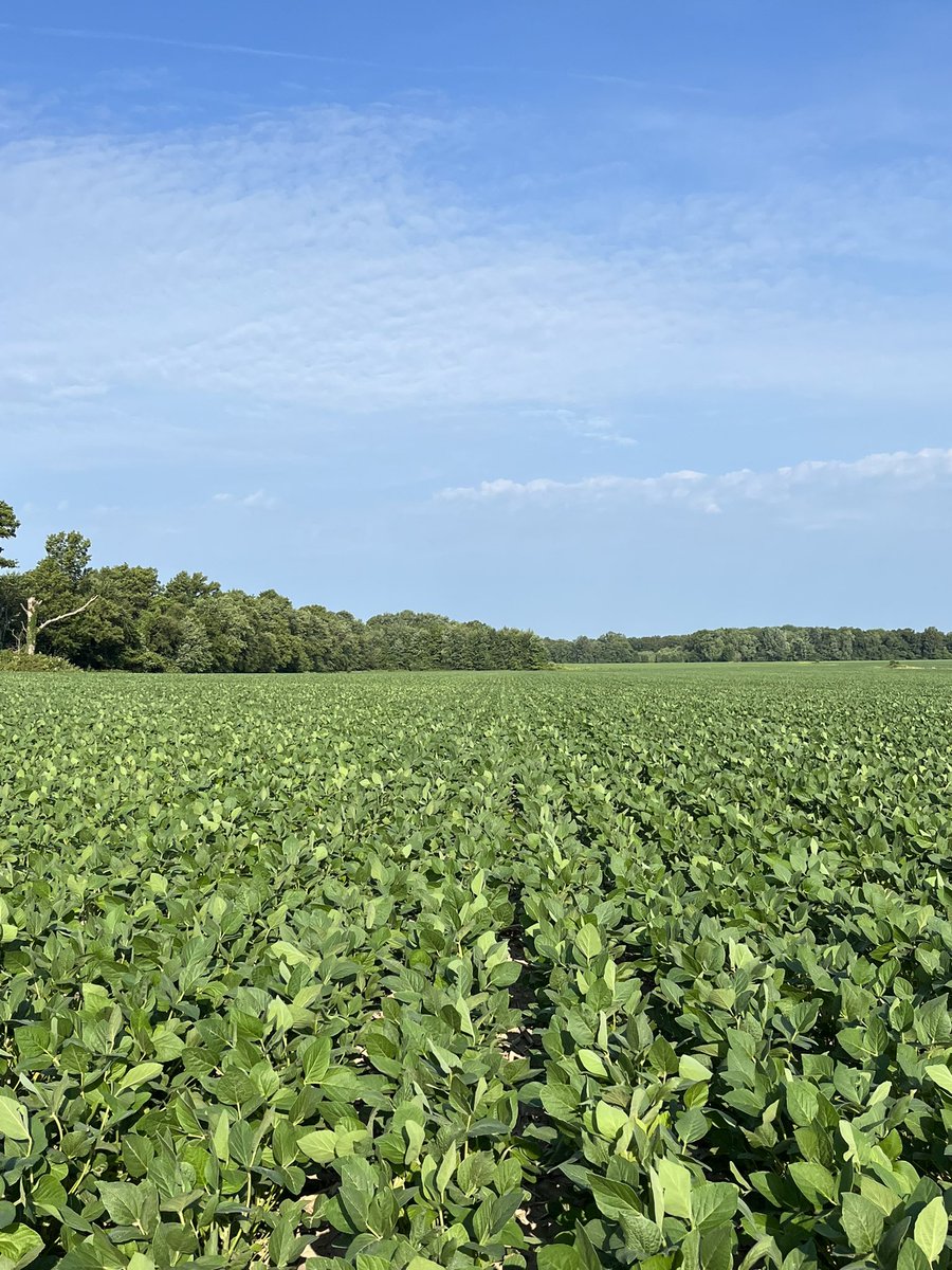 Justin Campbell tweet media