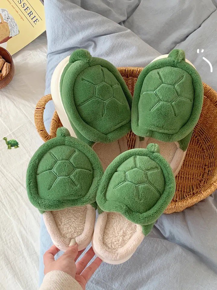Turtle slippers 🐢