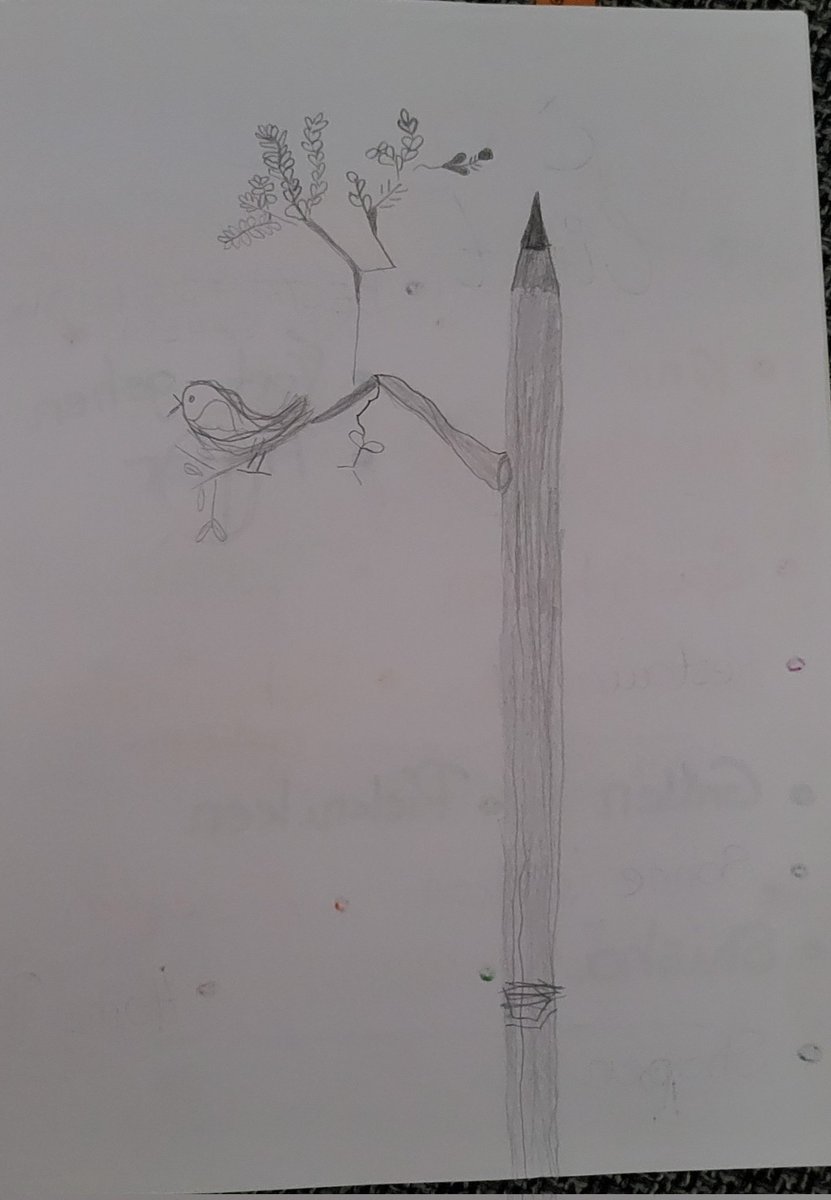 ✏️ 🐦