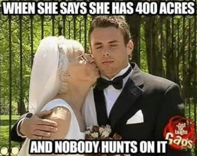 Outdoors Pulse tweet media