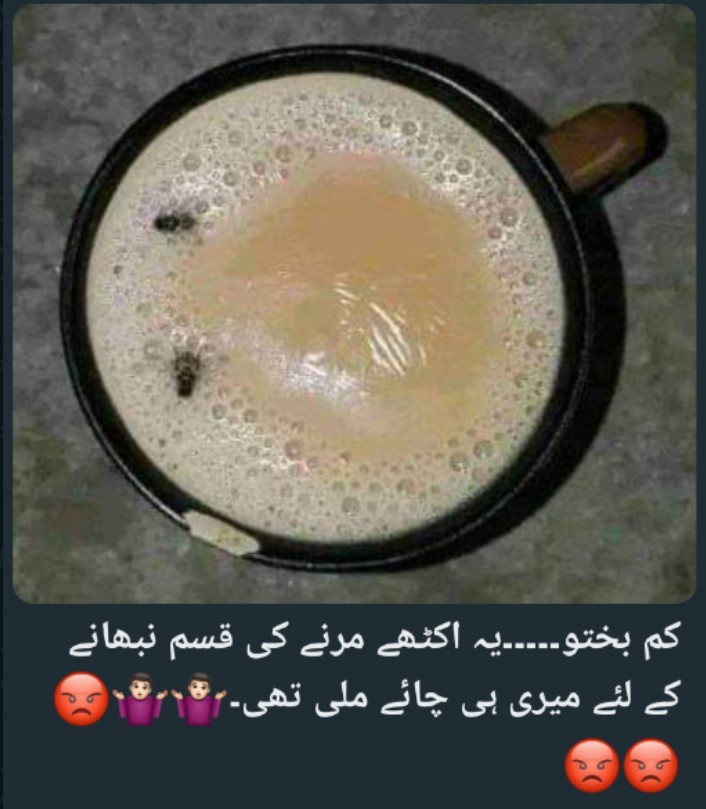 Mr Khokhar (@hafizahsanali18) on Twitter photo Yeh b dekh lo ab kia Karin Inka ...
<a href="/TeamPakPower/">Team Pakistan Power</a>
#ReleaseImranKhan #Marwat #جرات_غیرت_کا_نشان_عمران #فاتح_قیدی_عمران_خان Yeh b dekh lo ab kia Karin Inka ...
<a href="/TeamPakPower/">Team Pakistan Power</a>
#ReleaseImranKhan #Marwat #جرات_غیرت_کا_نشان_عمران #فاتح_قیدی_عمران_خان