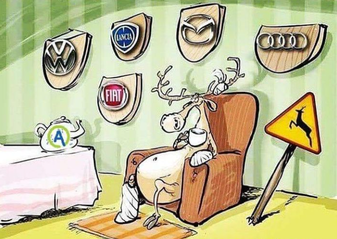 Outdoors Pulse tweet media