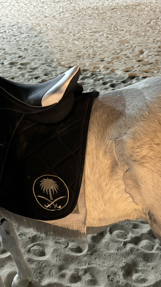 SAUDI POPULAR (@saudipopular) on Twitter photo 