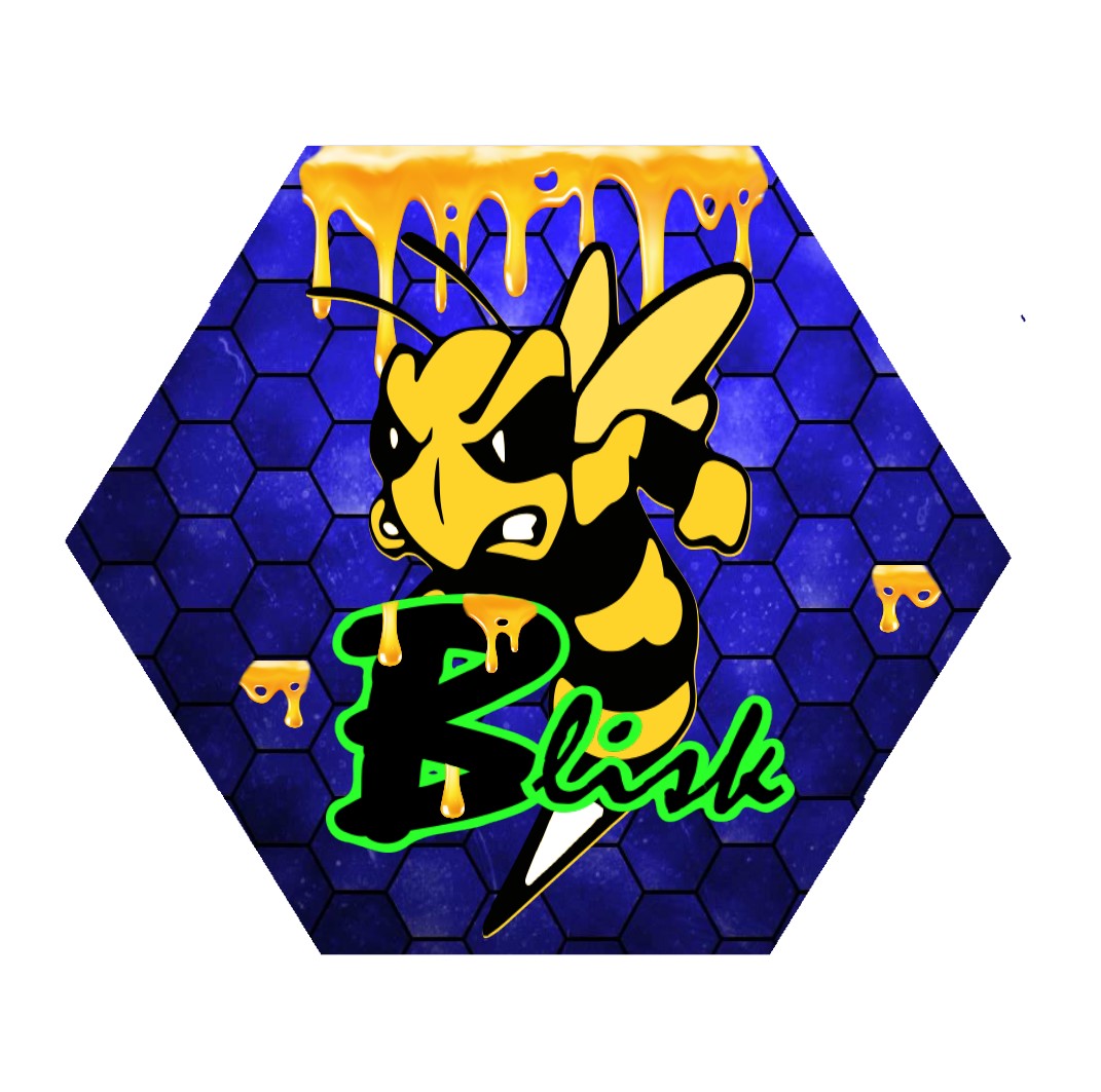 BliskClan's tweet photo. Blisk Clan coming in like a Bee! https://t.co/zP3yMHk35C